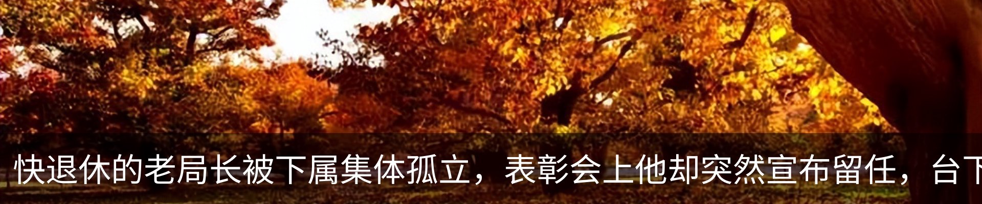 热点资讯