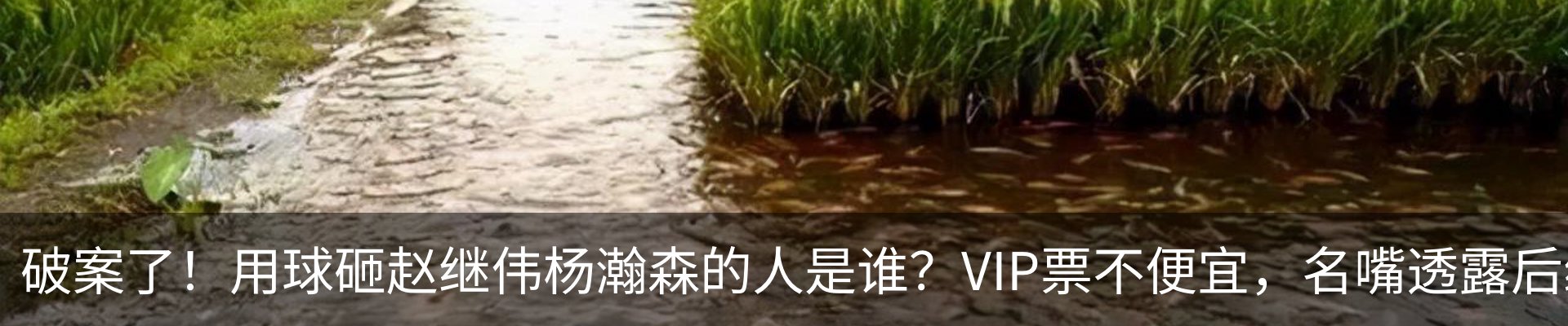 热点资讯